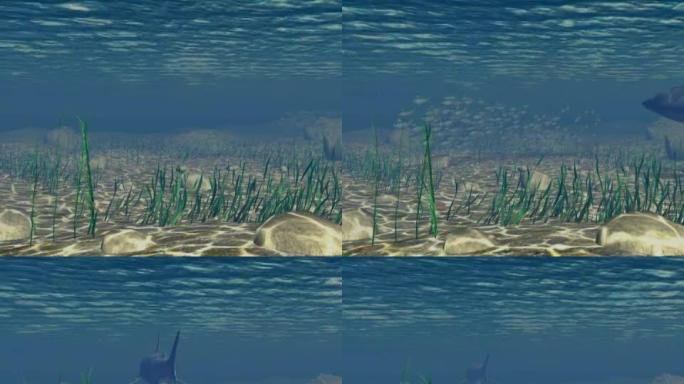 海洋场景3D动画NTSC