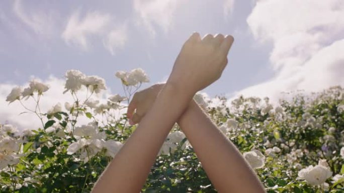 女人的手触摸天空伸向云层，感受皮肤上的阳光，在玫瑰园里享受春天的美丽