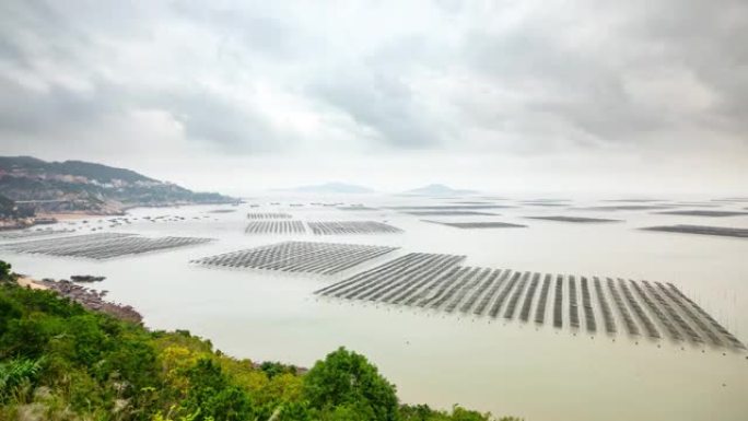 中国海藻养殖场的时间流逝