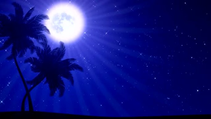 月亮和星星的棕榈树 (动画高清背景)