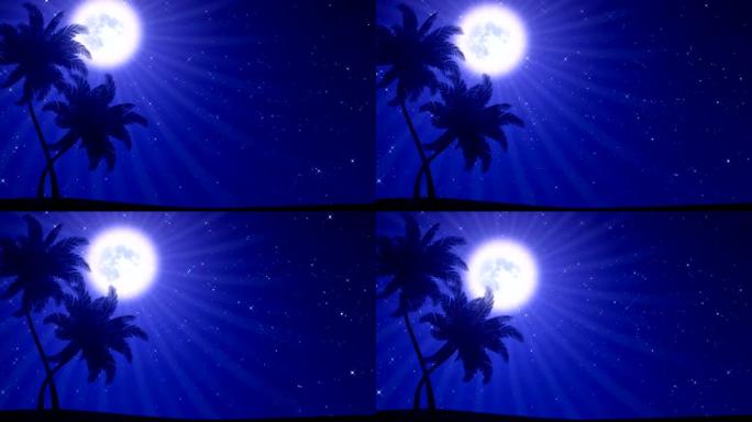 月亮和星星的棕榈树 (动画高清背景)