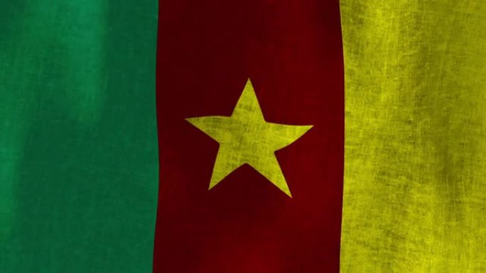 非洲喀麦隆国旗。织物，可循环 (无缝)，高清