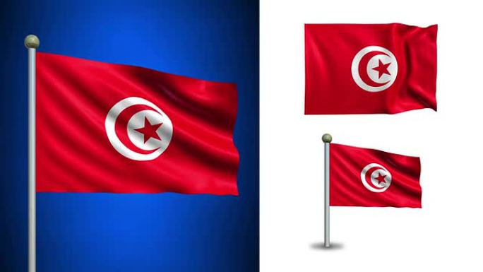 突尼斯旗-与阿尔法通道，无缝循环!