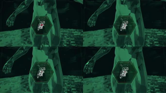 男性生殖器x射线扫描仪背景