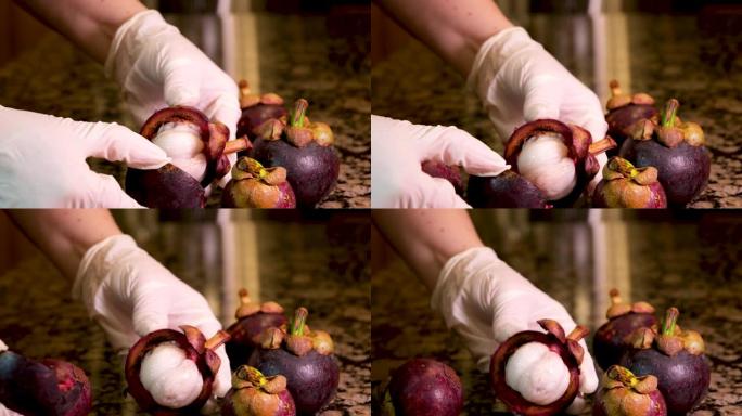 手工展示山竹切成薄片的紫色皮肤和白色果肉的水果女王山竹在泰国很丰富