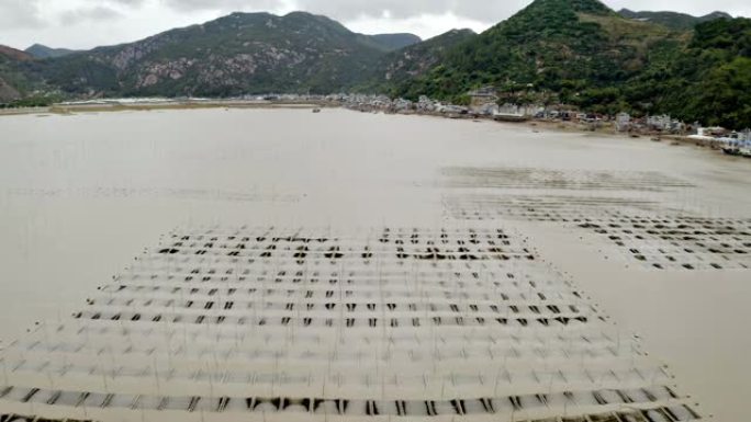 中国海藻养殖场的航拍