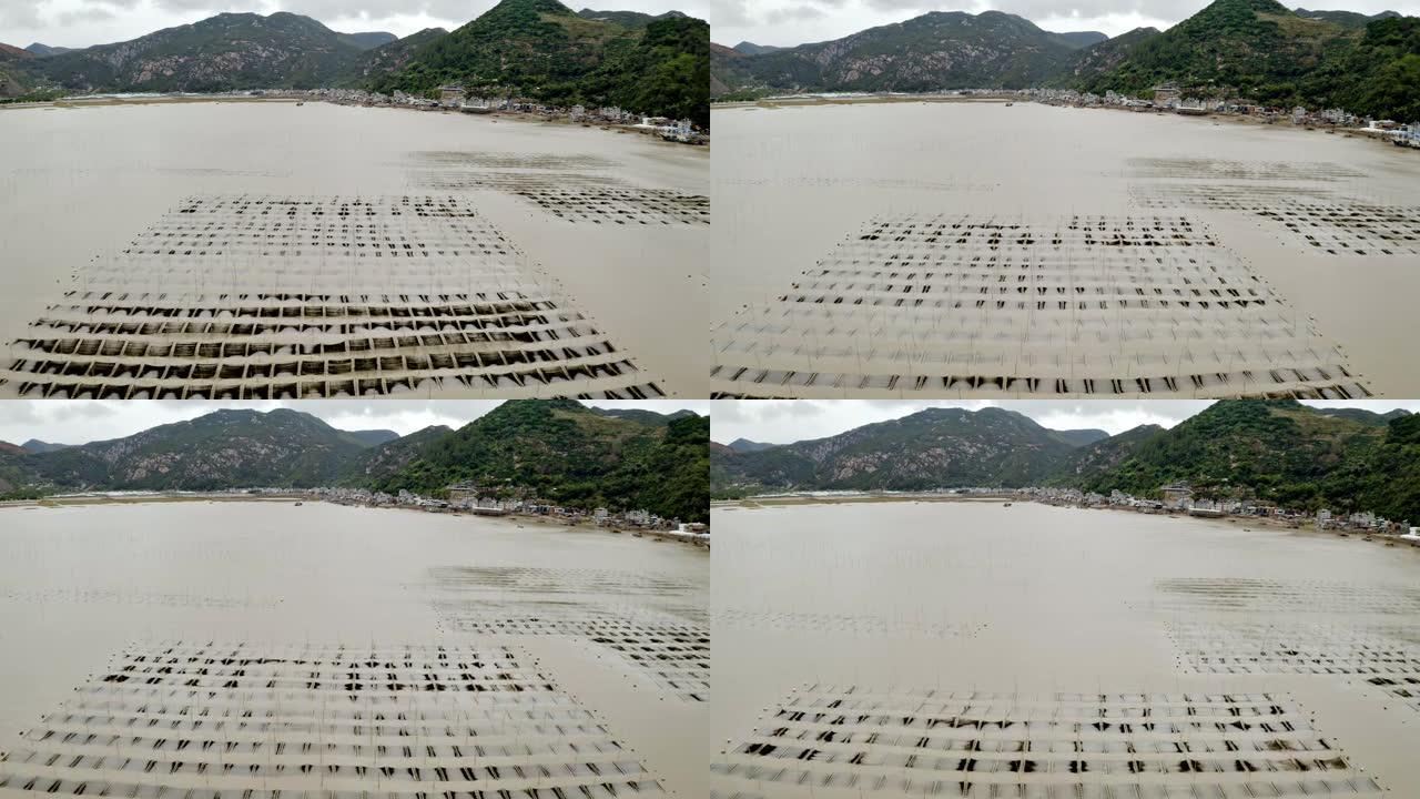 中国海藻养殖场的航拍