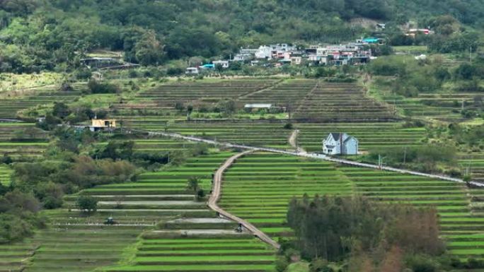 稻田鸟瞰图农村美丽乡村振兴精准扶贫