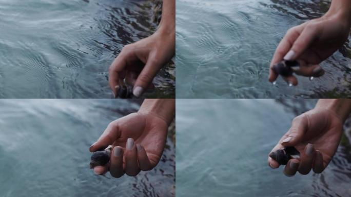 关闭女人的手拿着贝壳从海水中取出贝壳