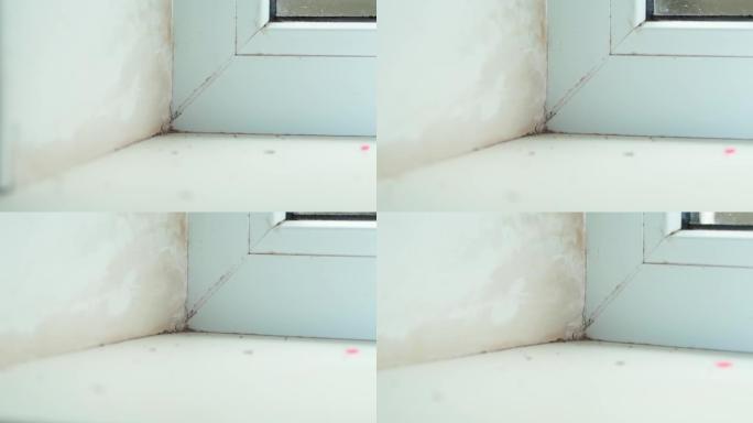窗户附近的湿墙，特写。水分通过窗户进入并软化了墙壁的油灰，油漆已经剥落