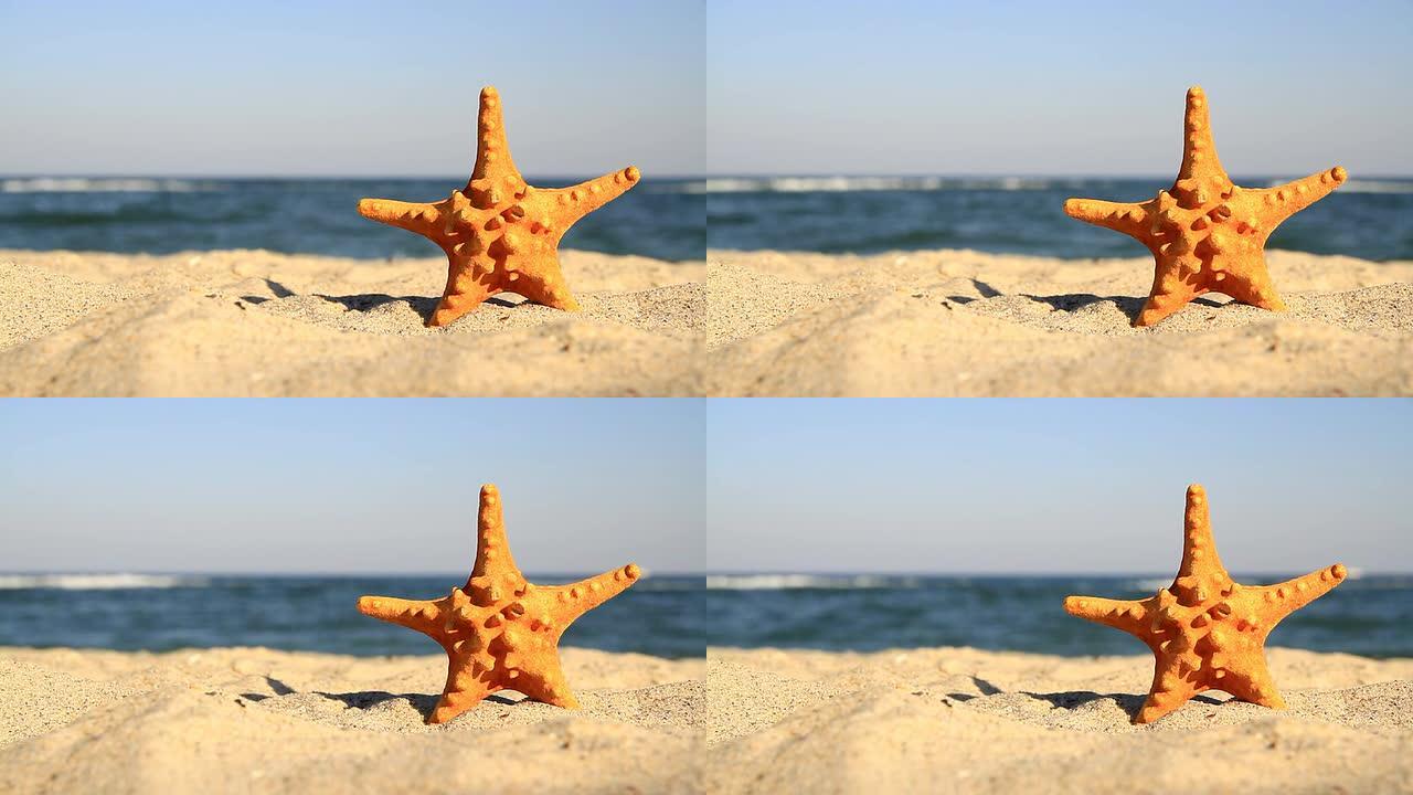 海滩背景上的海星