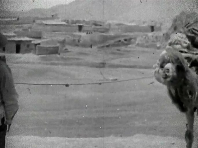 1939年驼队