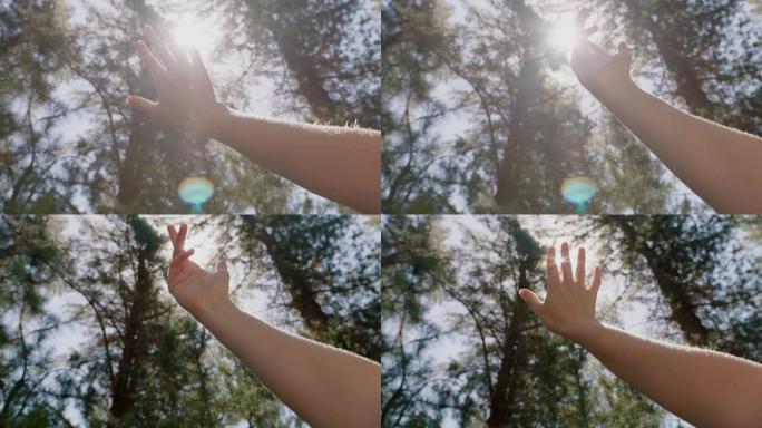 手触摸阳光伸向阳光在手指间照耀森林中的阳光