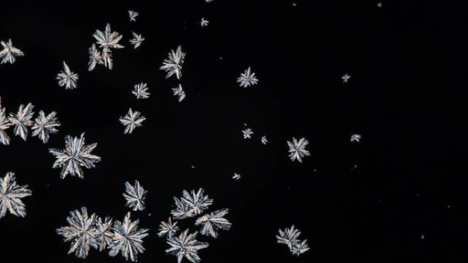 偏光显微镜下碳酸盐的结晶就像一朵由金属制成的花
