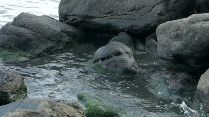 废物流入大海