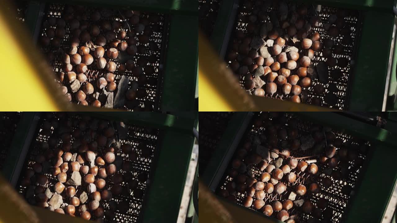 hazelnut核和壳分离机可专业用于分离坚果壳和种子，仁，如杏仁，榛子，核桃，慢动作