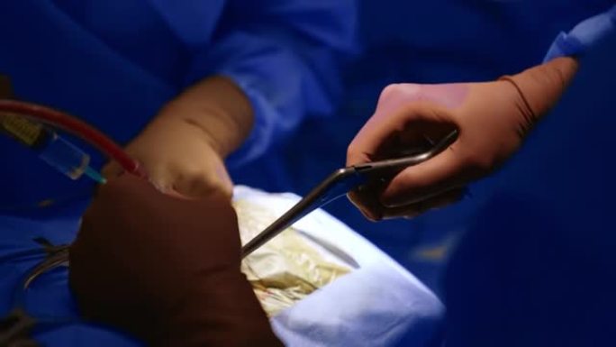 外科医生的手在手术时使用棕色乳胶手套的金属工具。特写。业务重点突出。