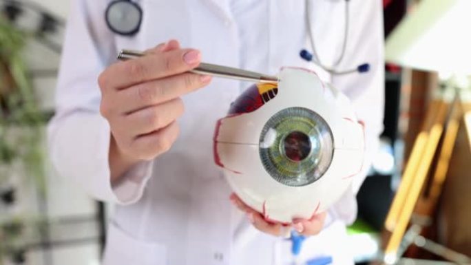 医生用笔解释眼睛指向细节的结构