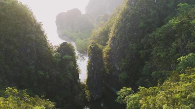 日落时河流周围丛林的鸟瞰图