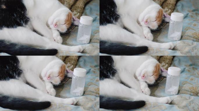 家猫带着药丸睡在巴纳基附近。失眠概念