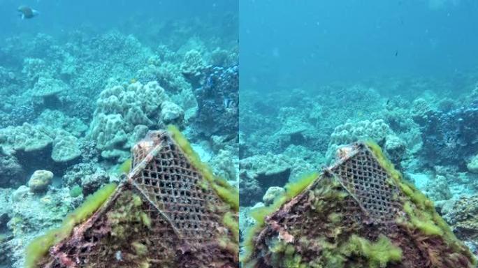 鬼网: 礁石上一个废弃的木制钓鱼陷阱