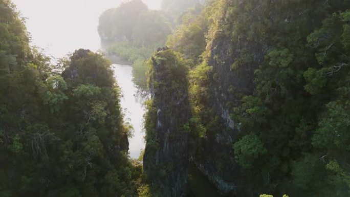 日落时河流周围丛林的鸟瞰图