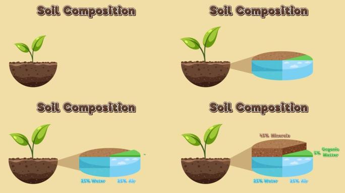 动画土壤成分解释器视频