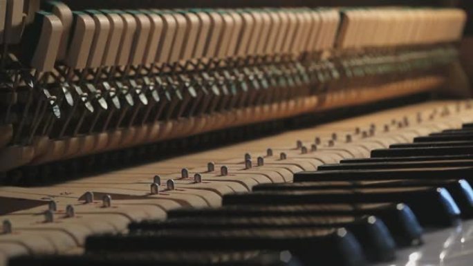 锤子里面的钢琴