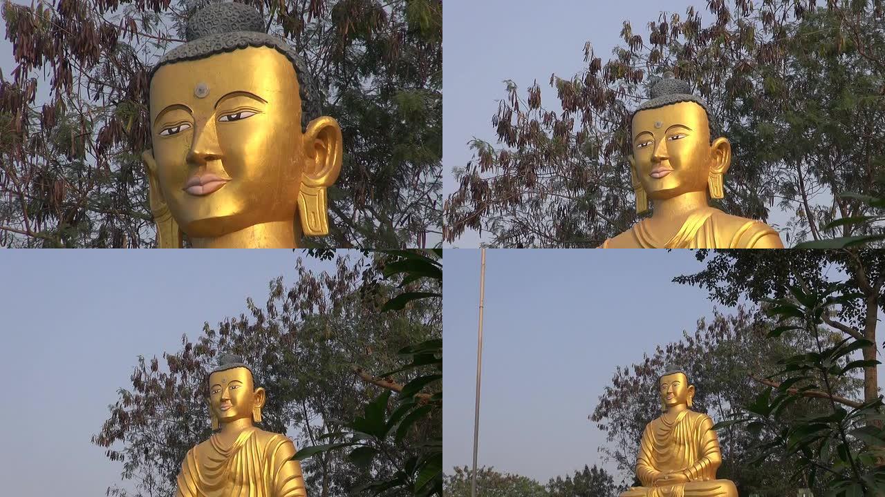 尼泊尔蓝毗尼的镀金佛像
