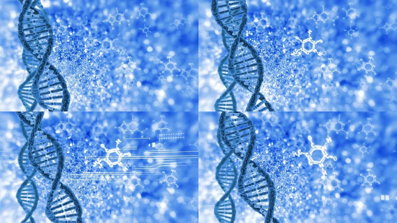 DNA分子循环视频