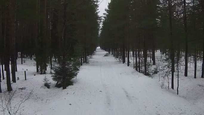 在冬季森林的道路上飞行