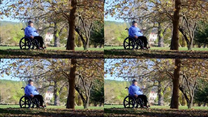 在公园坐轮椅的残疾高级妇女