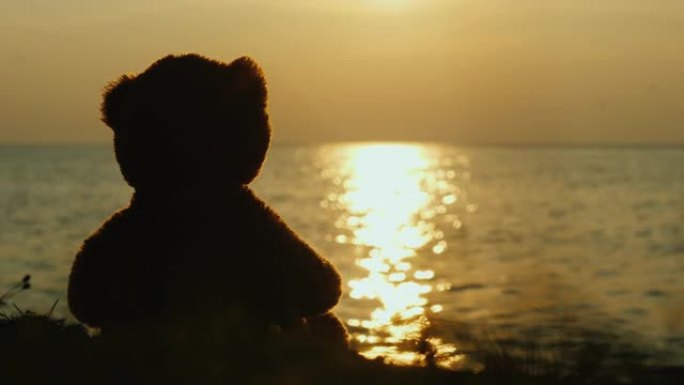 泰迪熊剪影看海上日出