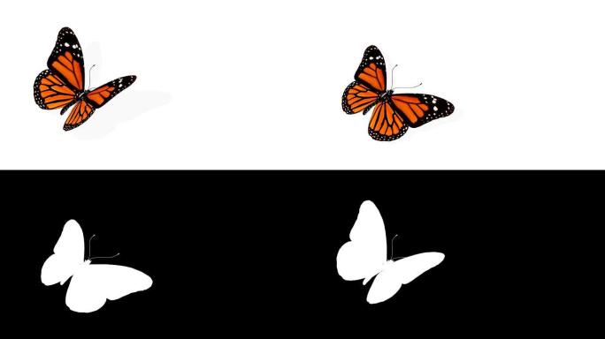 蝴蝶动画。循环。