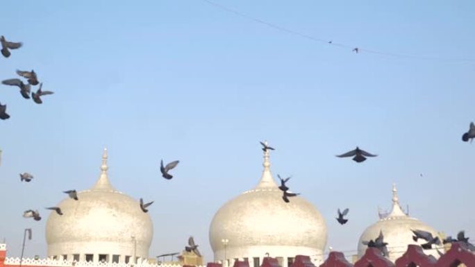 巴基斯坦卡拉奇-2023年3月24日，星期五，Memon Masjid KARACHI的圆顶视图。