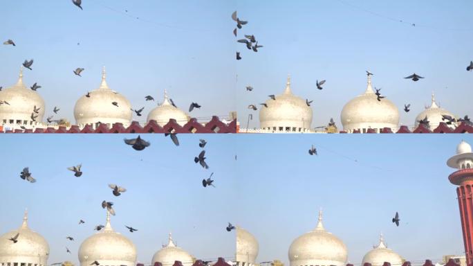 巴基斯坦卡拉奇-2023年3月24日，星期五，Memon Masjid KARACHI的圆顶视图。