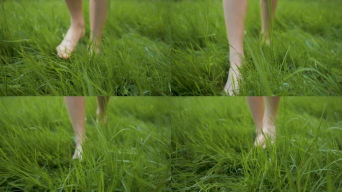 夏天，十几岁的女孩赤脚在森林的草地上行走。夏季慢动作中，女人的脚在花园里的新鲜湿草地上行走。赤脚和健