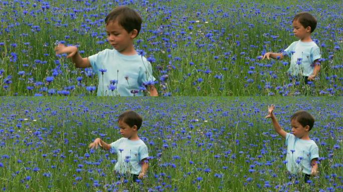 小男孩蓝色7 -砍头花
