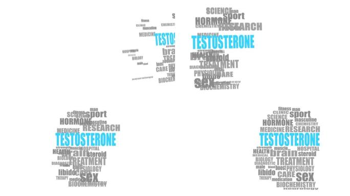人类的头部被文字纹理。睾酮相关标签或关键词云