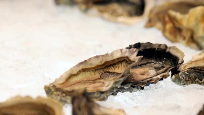 用食物钳把手的特写镜头从自助餐桌上拿新鲜牡蛎，冰上有新鲜牡蛎