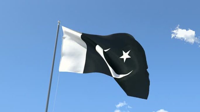 巴基斯坦国旗在风中挥舞。