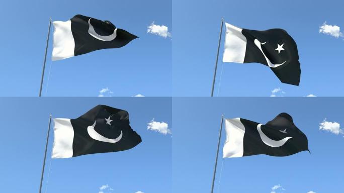 巴基斯坦国旗在风中挥舞。