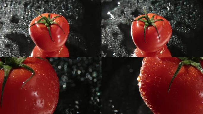 深色背景上的新鲜红番茄特写和主镜头
