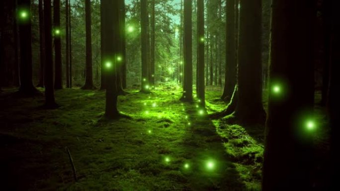 梦幻的萤火虫在绿色阳光的苔藓林地。