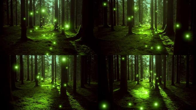 梦幻的萤火虫在绿色阳光的苔藓林地。