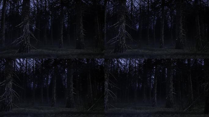 幽灵森林