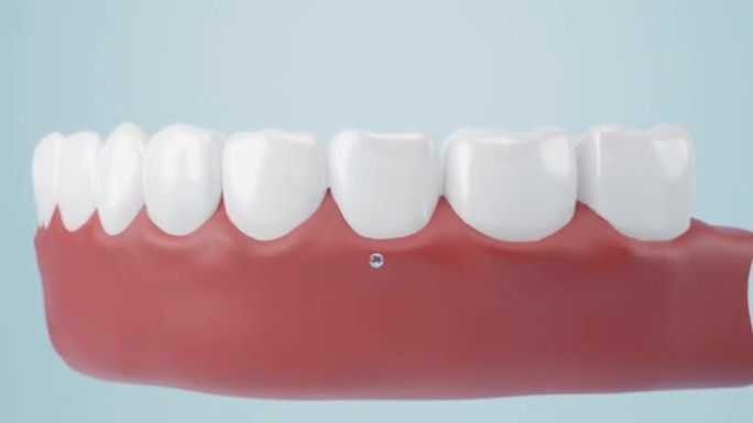 新鲜的呼吸和牙齿护理与牙龈保护