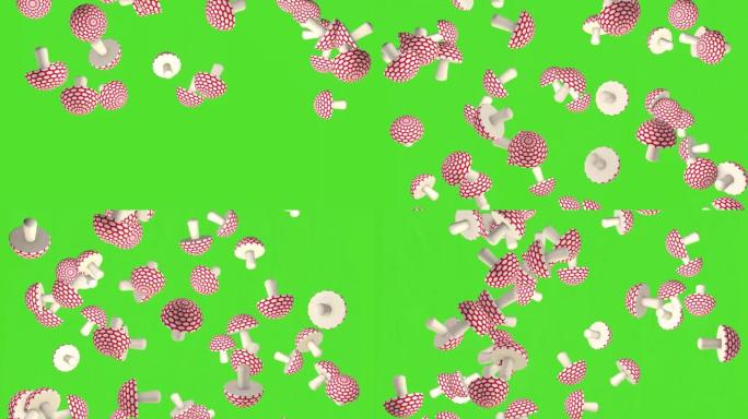绿屏上的苍蝇木耳蘑菇雨。毒蘑菇。3D动画。