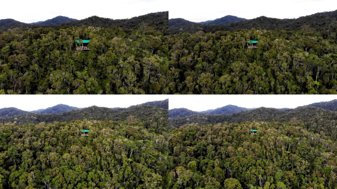飞越马达加斯加Ranomafana丛林茂密的绿色树冠