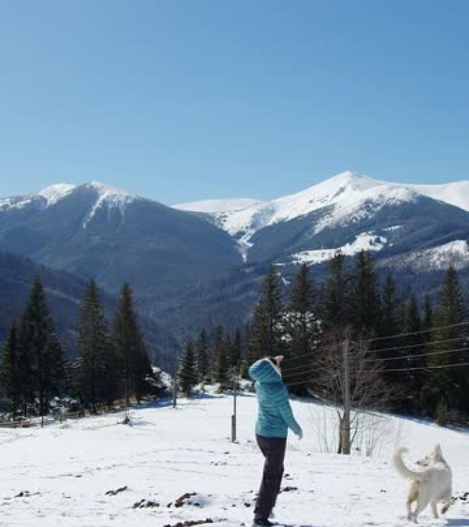 冬天带着狗在雪山上徒步旅行。一个女孩和一个白色的牧羊人在雪中漫步，背景是雪山。总体规划山区的电力线。